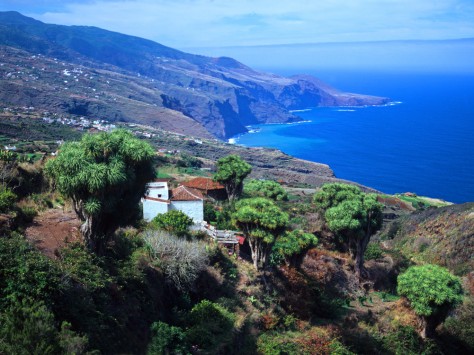 GR130: Dragos Mirador Las Toscas
© Consejería de Turismo del Cabildo de La Palma - Saúl Santos