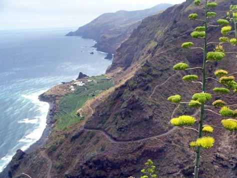 GR-130: Costa Norte © Consejería de Turismo del Cabildo de La Palma - Saúl Santos