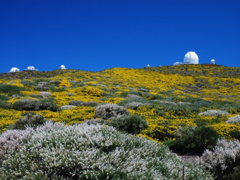 GR-131: Roque de Los Muchachos © Consejería de Turismo del Cabildo de La Palma - Saúl Santos