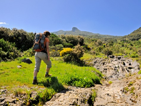 PR-LP-16: Niquiomo © Consejería de Turismo del Cabildo de La Palma - Jeanette Gohner