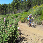 mapaRutasMTB