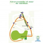 atravesandomarniebla-senderoslapalma